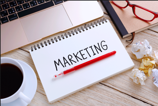 marketing mentor