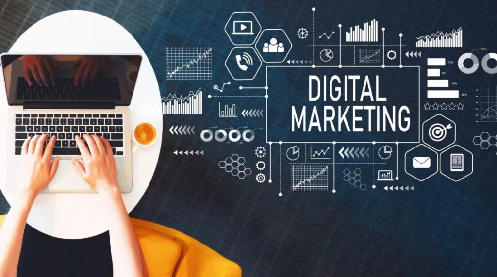 digital marketing agency in Auckland