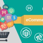 ecommerce business consultant