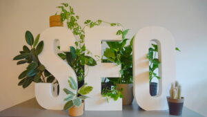 SEO services in Fayetteville